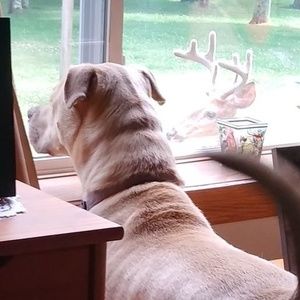 Meet your Posher, Karin